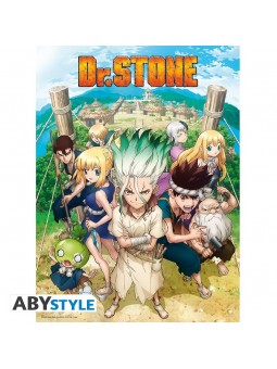 DR STONE Poster Groupe (52...